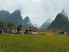 -明仕田园