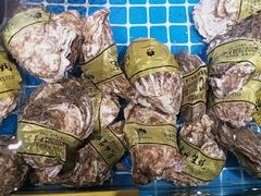 -凤霞海鲜大排档·天津菜(抗震路店)