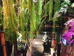 -范设计花园餐酒咖·中西餐·咖啡厅·酒馆