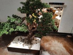 -十二粤味·顺德菜·烧鹅点心(五四广场店)