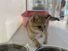 -万达广场(临港店)