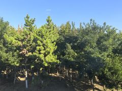 -抹直口特色菜馆(一店)