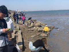 -天津妈祖文化园