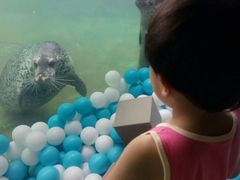 -秦皇岛乐岛海洋王国