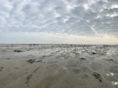 -北海金海湾红树林生态旅游区