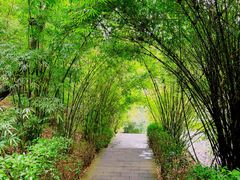 -天河潭旅游度假区