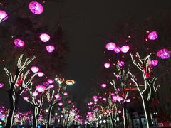 -大唐不夜城贞观广场