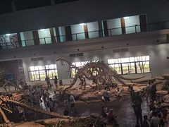 -自贡恐龙博物馆