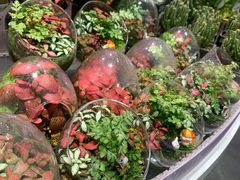 -KKV(深圳kk one 店)