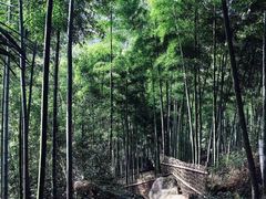 -山沟沟景区