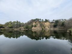 -王借岗森林公园