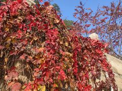 -云峰山自然风景区