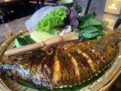 红辣椒烤罗非鱼-CYCLO(158坊店)