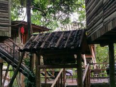 -天门沟九州驿站树上汤泉