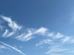 -杭州城北体育公园