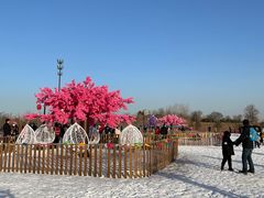 -绿野森林乐园冰雪季