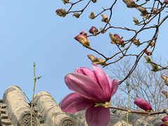 -春风习习