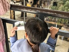 -硅谷蒙学幼儿园