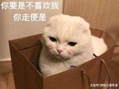 -星巴克(天津五大道店)