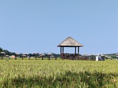 -西青郊野公园