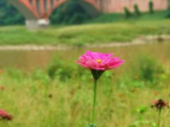 -乐山大佛风景名胜区乌尤寺南门-售票点