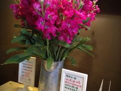 花-北平国际青年旅舍(南锣鼓巷店)