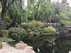 -秋霞圃
