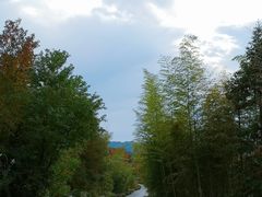 -塔川景区