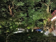 -普陀山雷迪森庄园
