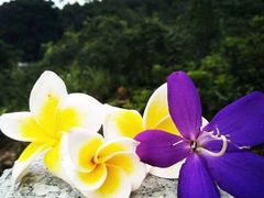 -龙潭生态旅游度假区