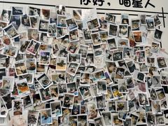 -瑞派·关忠动物医院·猫专科·犬专科(三环新城店)
