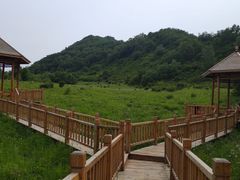 -白草畔自然风景区