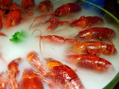 -红盔甲·小龙虾(天钥桥店)