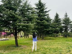 -洨河生态公园