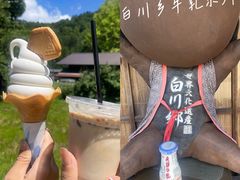 -白川乡与五箇山的合掌构造村落