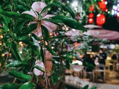 -合晋食府(广州合晋帝苑酒店)