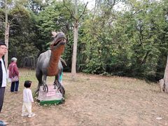 -南宁良凤江国家森林公园