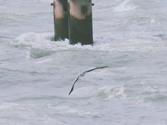 -黄河小浪底水利枢纽风景区