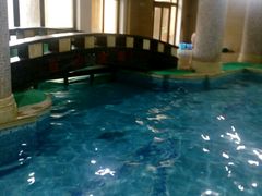 -桂花城会所游泳池