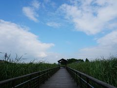 -苏州太湖湖滨国家湿地公园