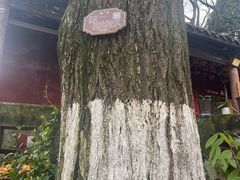 -佛荫寺