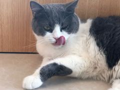 -Catmate·猫肥家润(金润铂宫店)