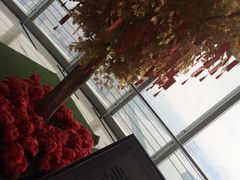 iphone_upload_pic-紫峰大厦