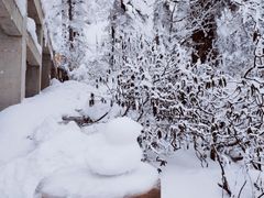 -瓦屋山景区