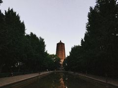 -玲珑塔公园