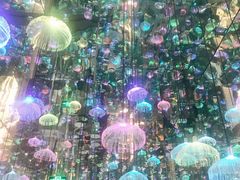 -福州奇幻解压馆(东泰禾旗舰店)