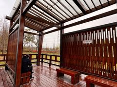 -昆山城市生态森林公园