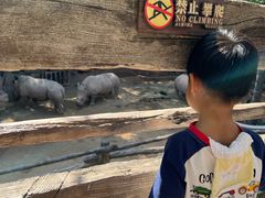 -长鹿旅游休博园