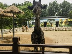 -北京野生动物园