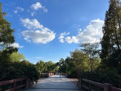 -上海滨江森林公园
